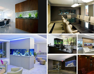 10 Cool Fish Tanks for Your Office