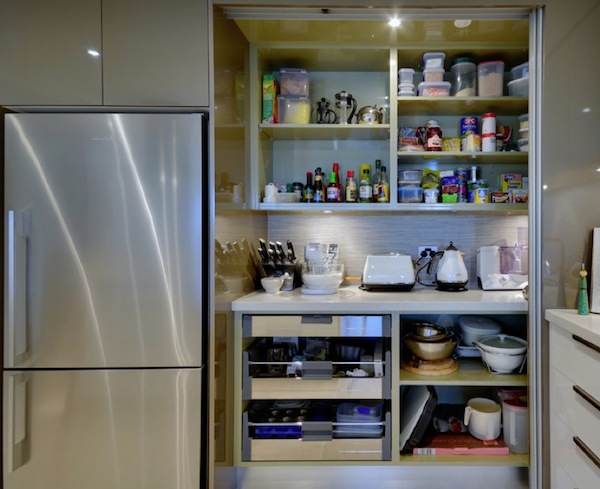 kitchen storage pantry standing