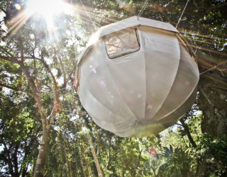 Cocoon Tree Tent: Gorgeous Hammock Tent Encased in Cozy Luxury