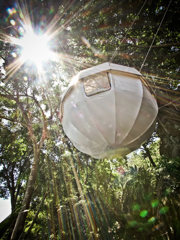 stylish Cocoon Tree Tent