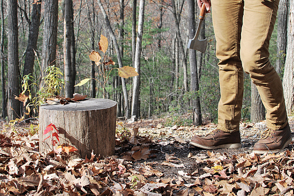 wood log for a christmas tree stand