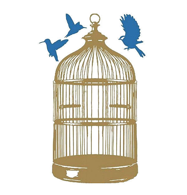 Bird cage wall decal