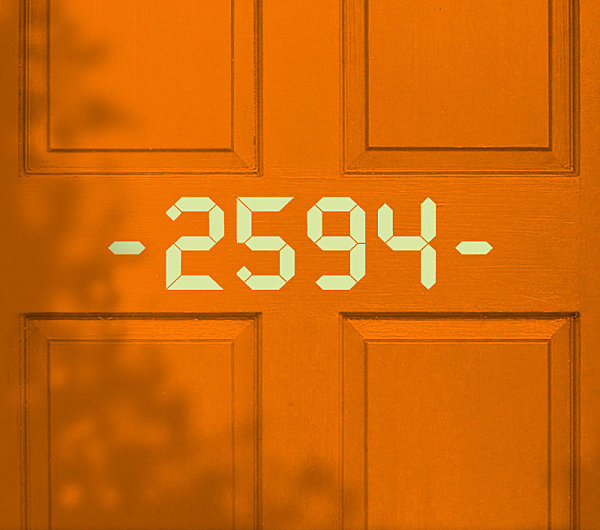 Digital style door decal