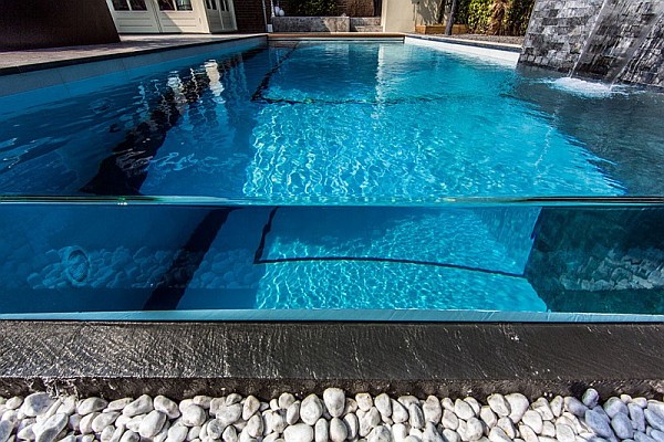 dream backyard pool