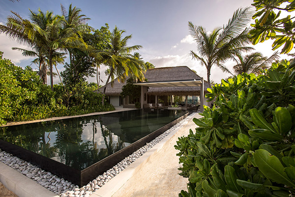 green scenery with pool