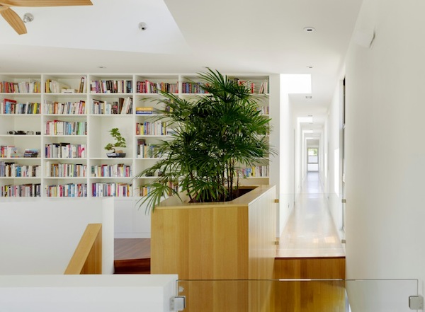 houseplants planter hallway