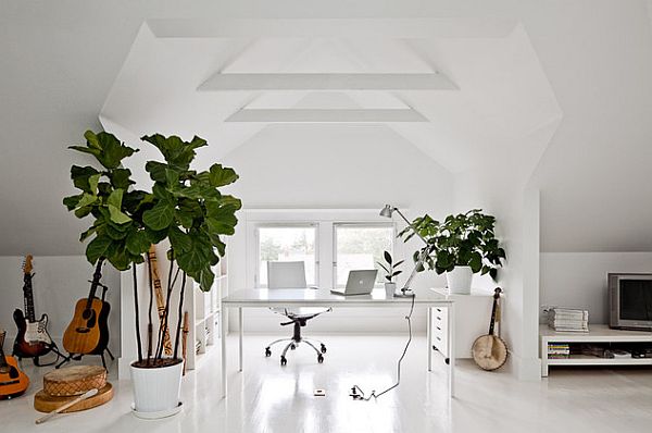 white painted home office with green plants