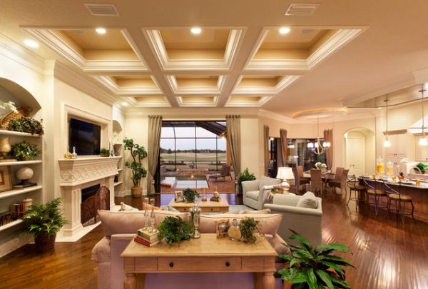 Elegant ceiling and warm lighting gives this living space an immaculate appearance