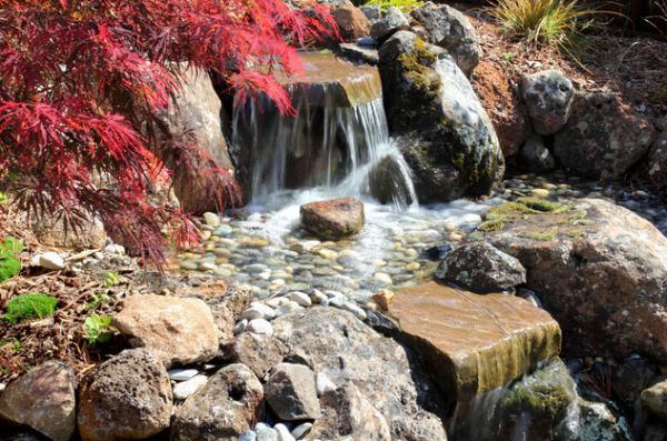 Flowing waterfalls perfect for a vibrant Japanese Garden