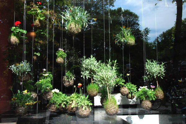 Modern hanging garden