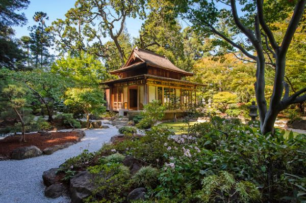 Picture perfect Japanese garden with stone pathway