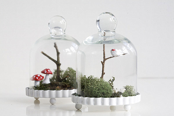 Terrarium wedding favors