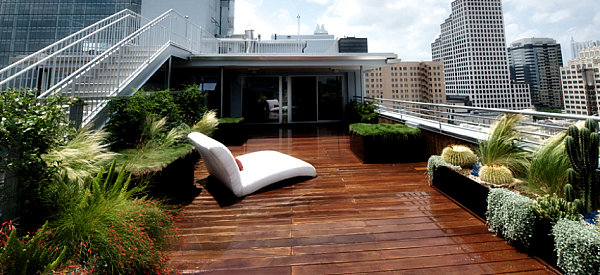 A modern rooftop garden