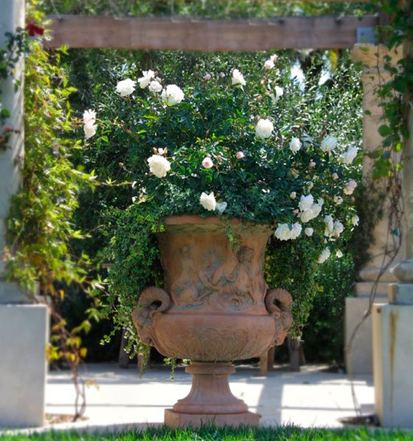 Artistic urn overflowing with blooms of white roses makes for a delightful art addition