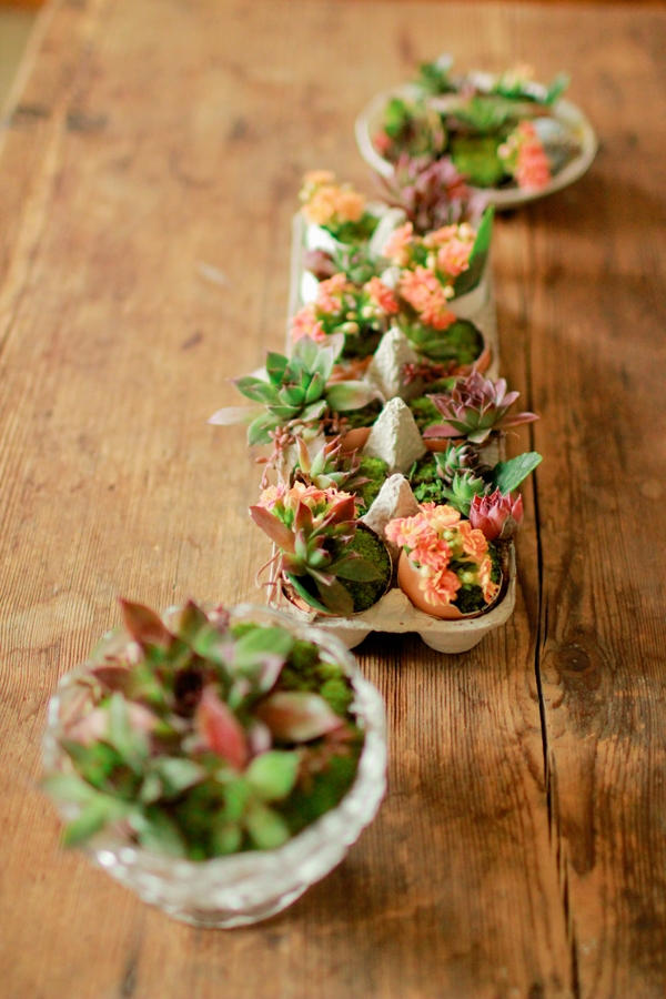 DIY eggshell planters
