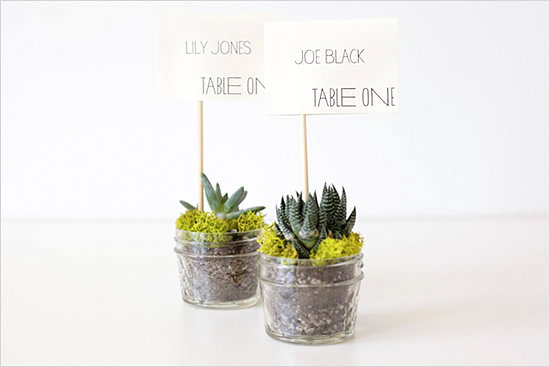 DIY succulent place card holders