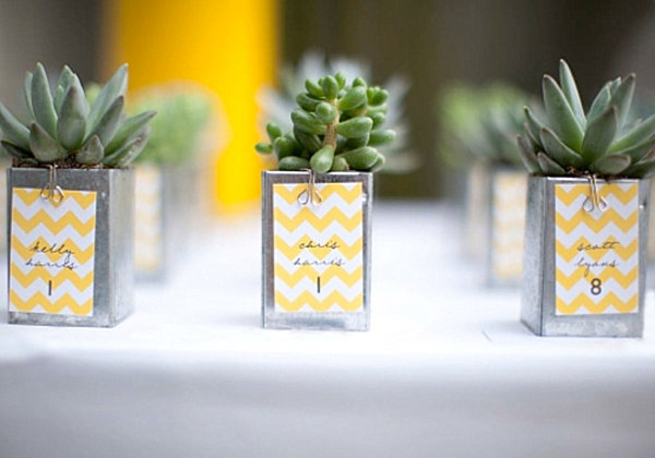 DIY succulent wedding favors