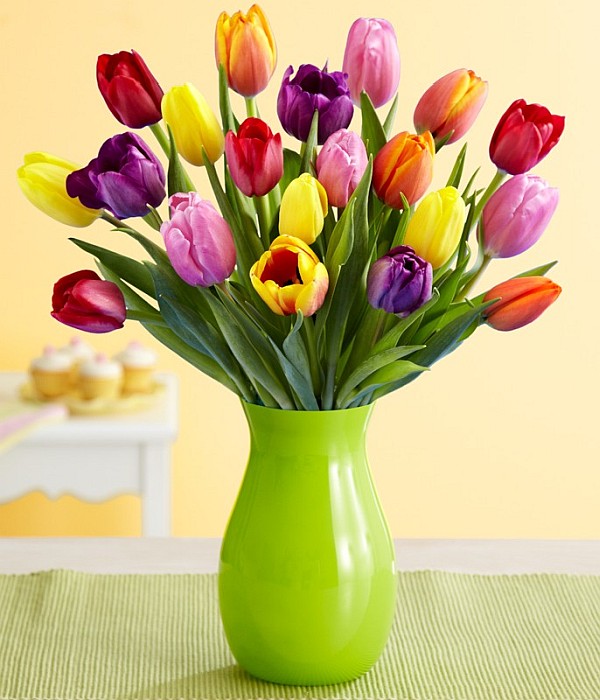 Easter flowers - tulips