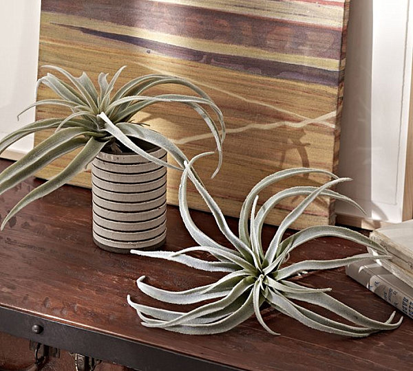 Faux tillandsia