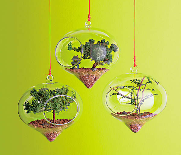 Glass terrarium