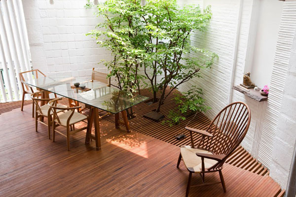 Interior Gardens in modern homes (1)