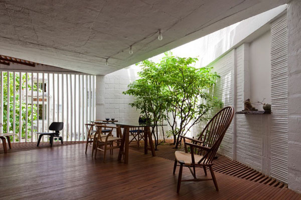 Interior Gardens in modern homes (2)