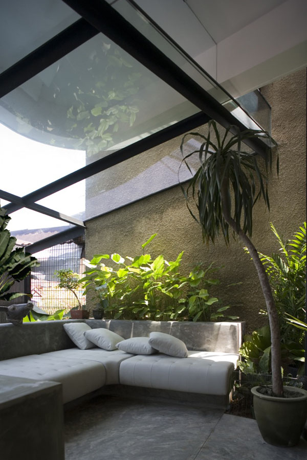 Interior Gardens in modern homes (4)