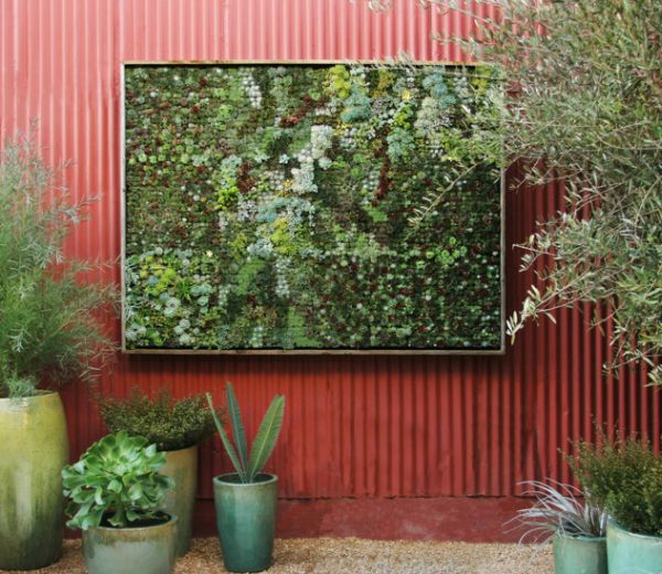 Living wall planter perfect for small gardens