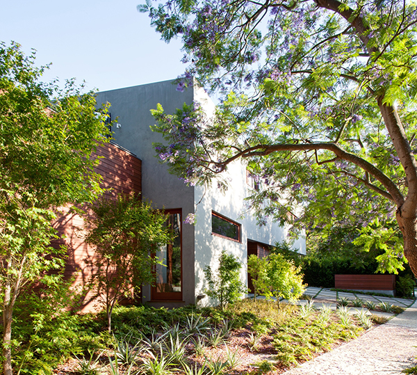 Los Angeles Residence - garden