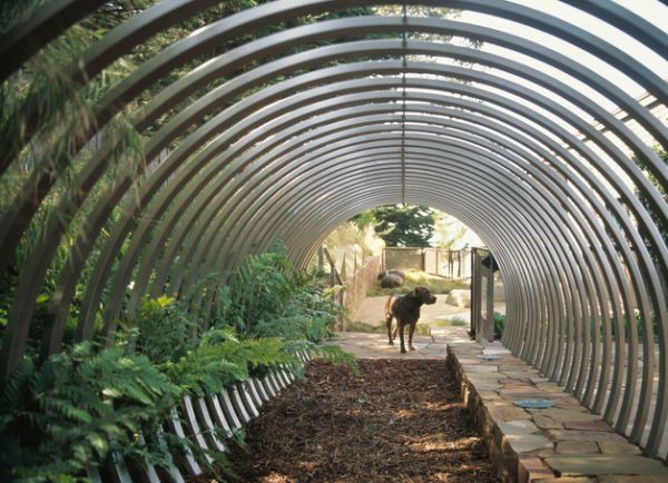 Metallic tunnel makes for a visually distinct addition to your garden