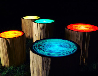 Inspired by Nature: Artistic Functionality of Reclaimed Wood Stumps