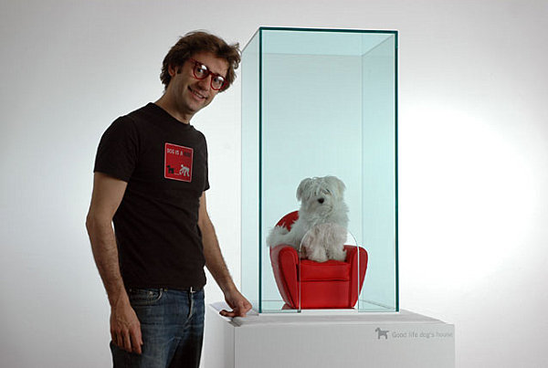 Modern transparent doghouse