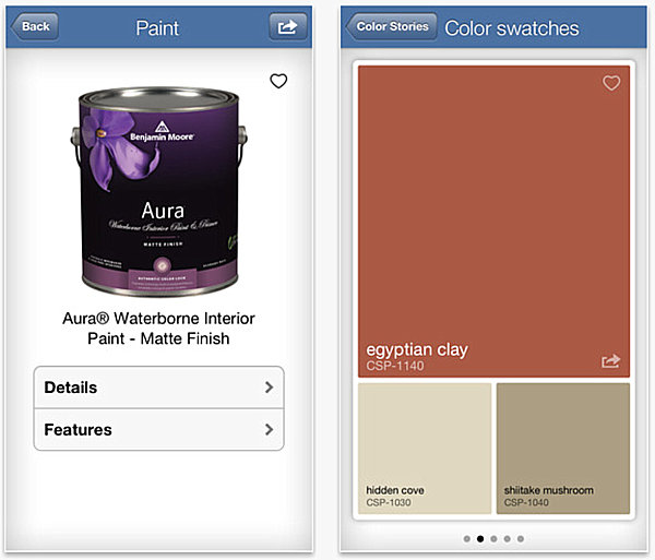 Paint details and color swatches from Color Capture