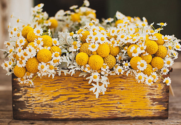 Radiant yellow centerpiece