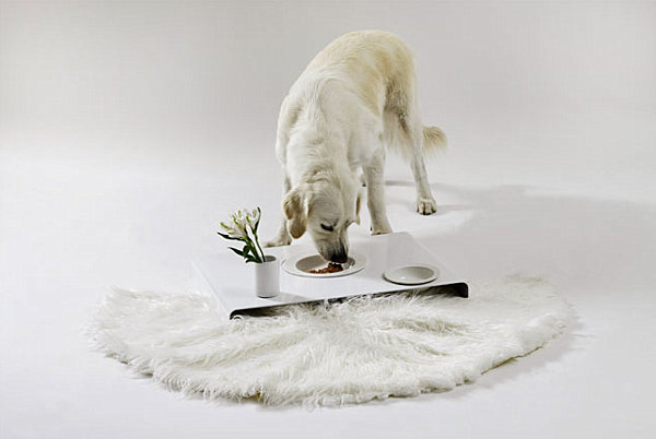 Room service tray dog food bowls