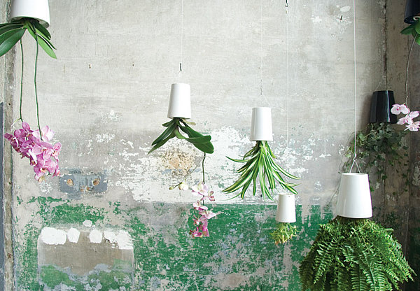 Sky planters from Boskke