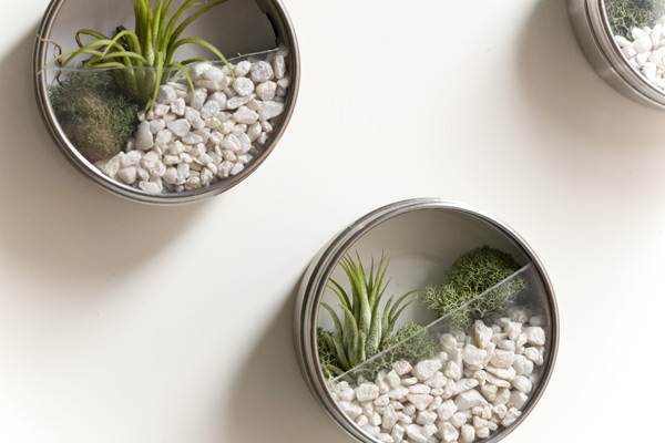 Terrarium garden DIY wedding favor