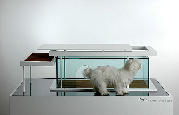 Transparent dog house