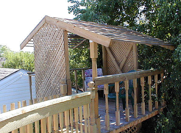 Treehouse with lattice work