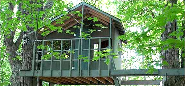 Two-tree treehouse design