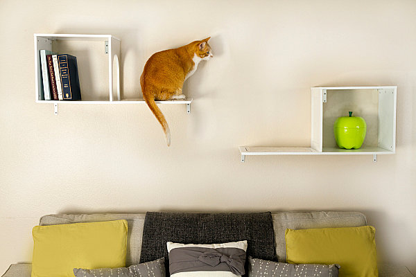 Wall-mounted cat tree