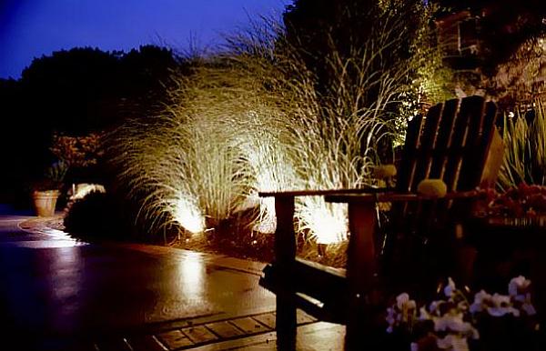 garden plant arrangements with lights