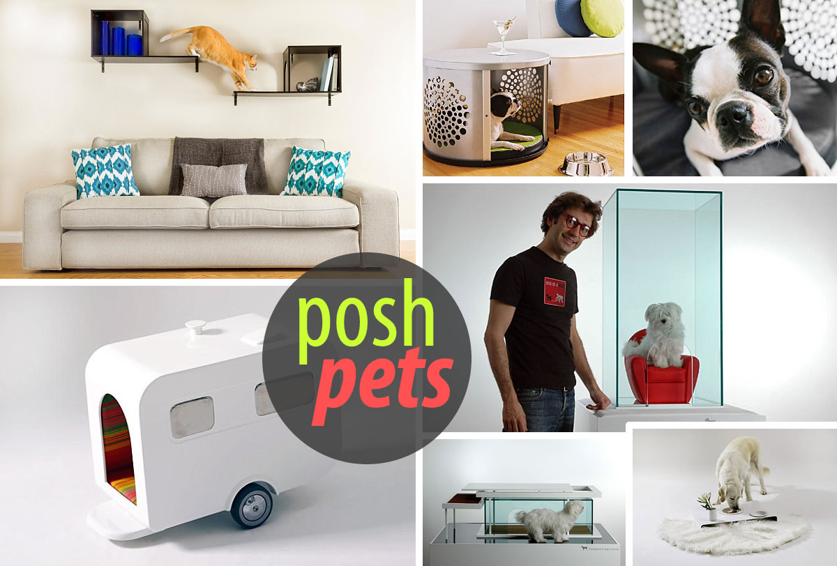 Modern Pet Furniture Accessories for Design Lovers Decoist