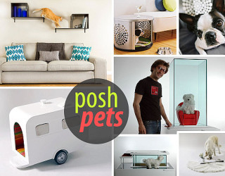 Modern Pet Furniture & Accessories for Design Lovers
