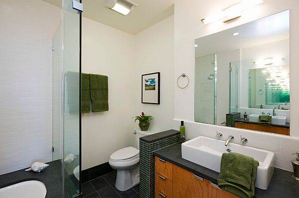 Fancy Privacy Options For The Bathroom