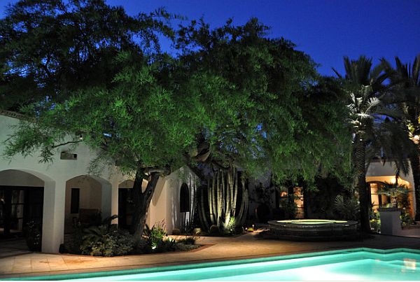 trees and flowers lighting in the garden