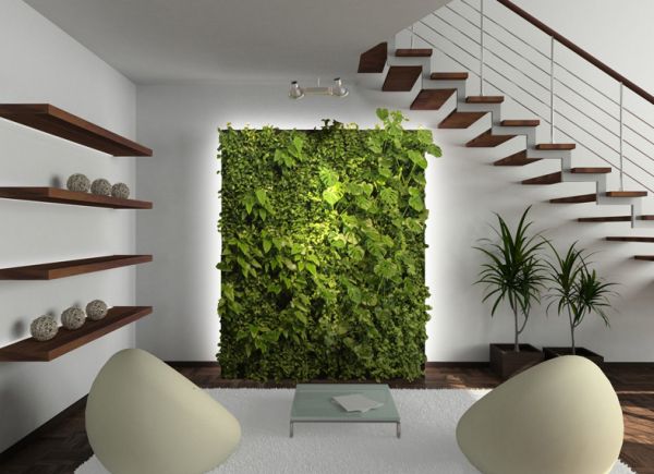 Add a living green wall to your minimalist dream as well!