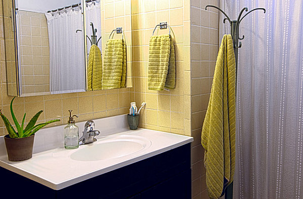 Aloe plant in a modern bathroom