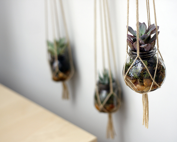 DIY Hanging Succulent Planters