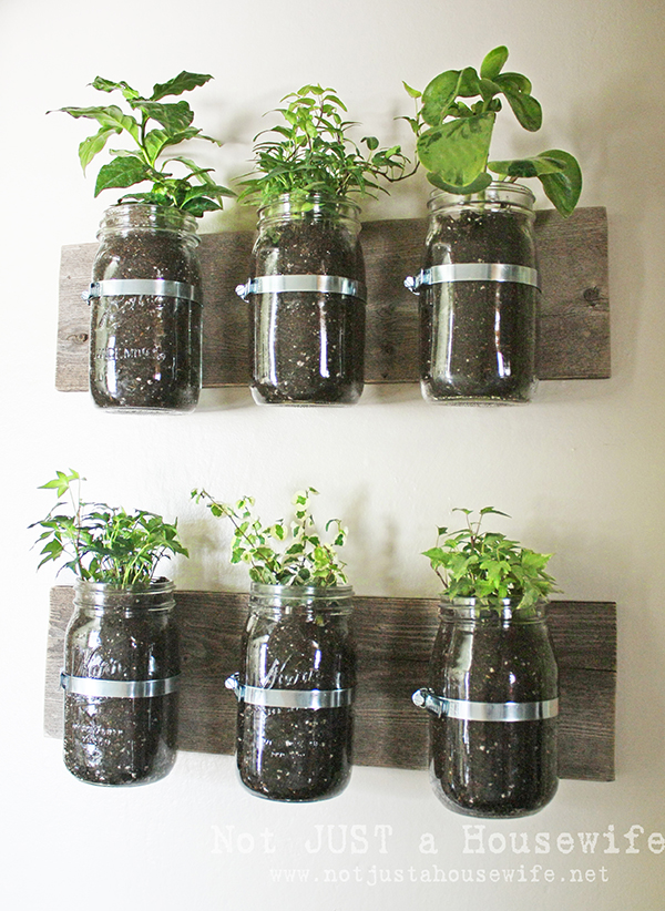 DIY Mason Jar Herb Planter